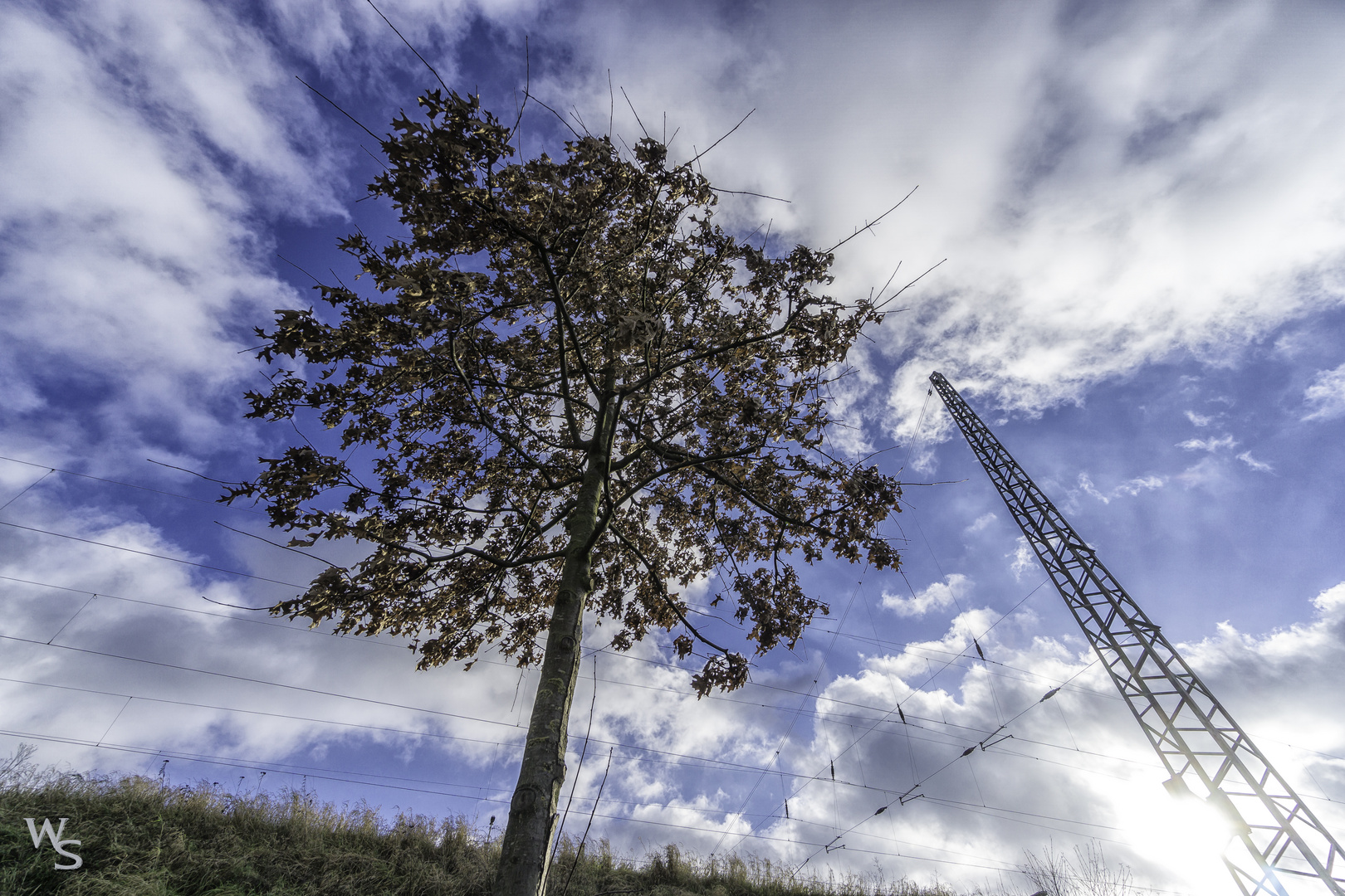 Natur Und Technik Foto Bild Industrie Und Technik Pflanzen Pilze Flechten Baume Bilder Auf Fotocommunity