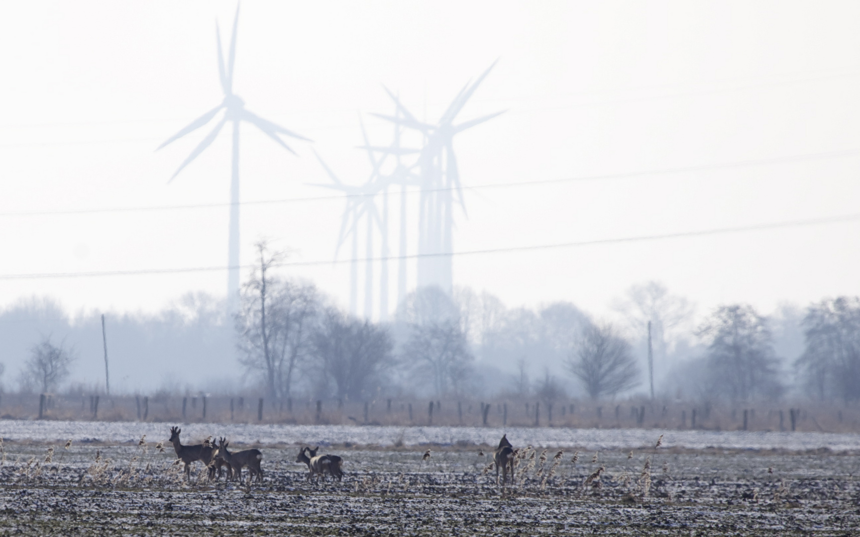 Natur und Technik