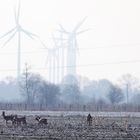 Natur und Technik