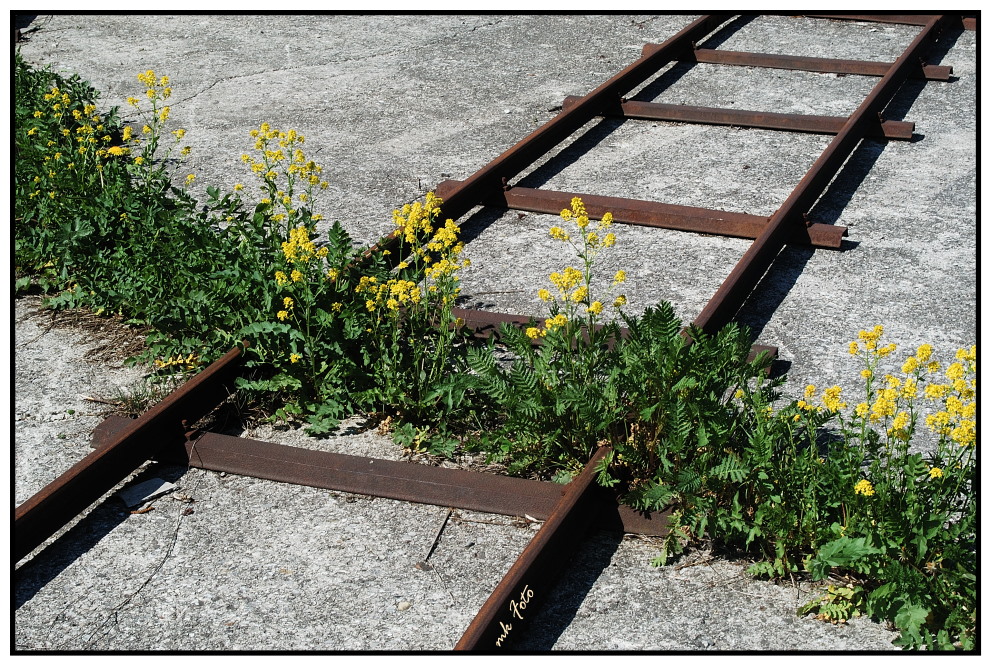 Natur und Technik