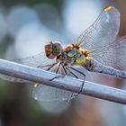 Natur und Technik