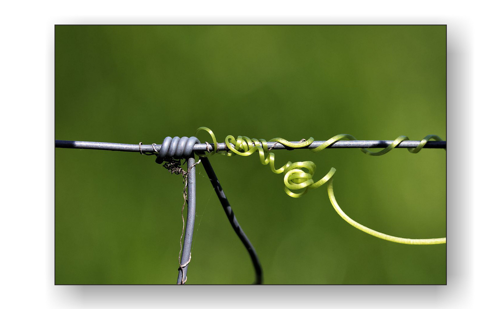 Natur und Technik