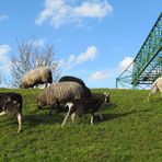 Natur und Technik ...