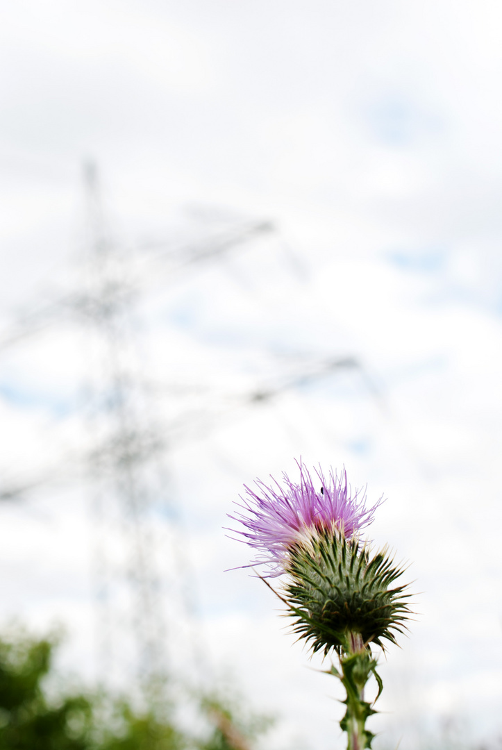 Natur und Technik