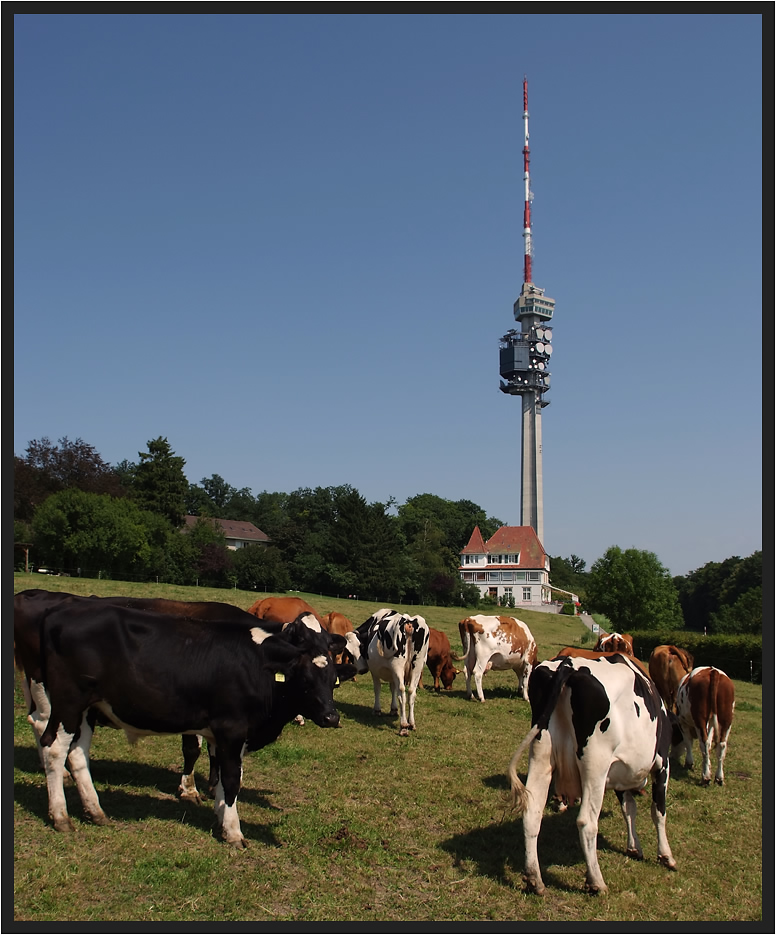 Natur und Technik