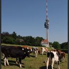 Natur und Technik