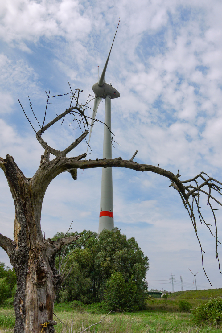 Natur Und Technik Foto Bild World 11 Baum Bilder Auf Fotocommunity