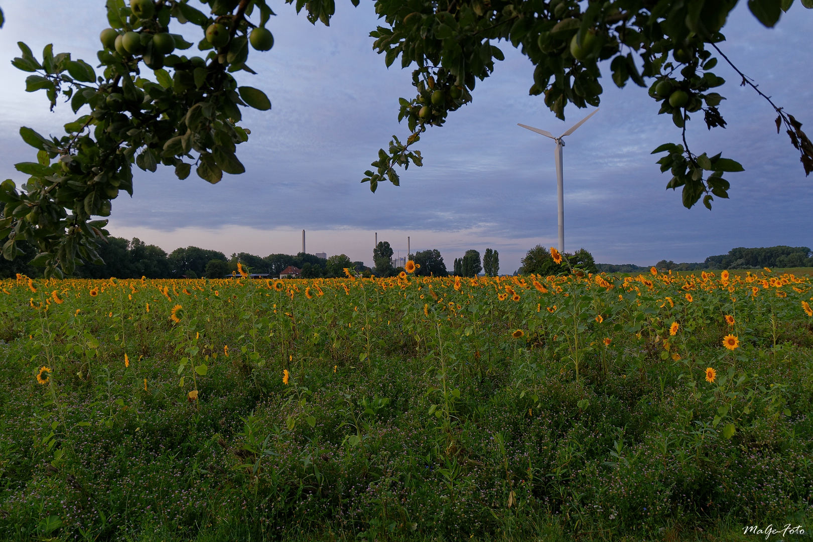 Natur und Technik