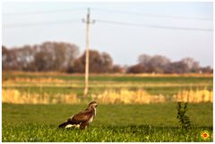 Natur und Technik