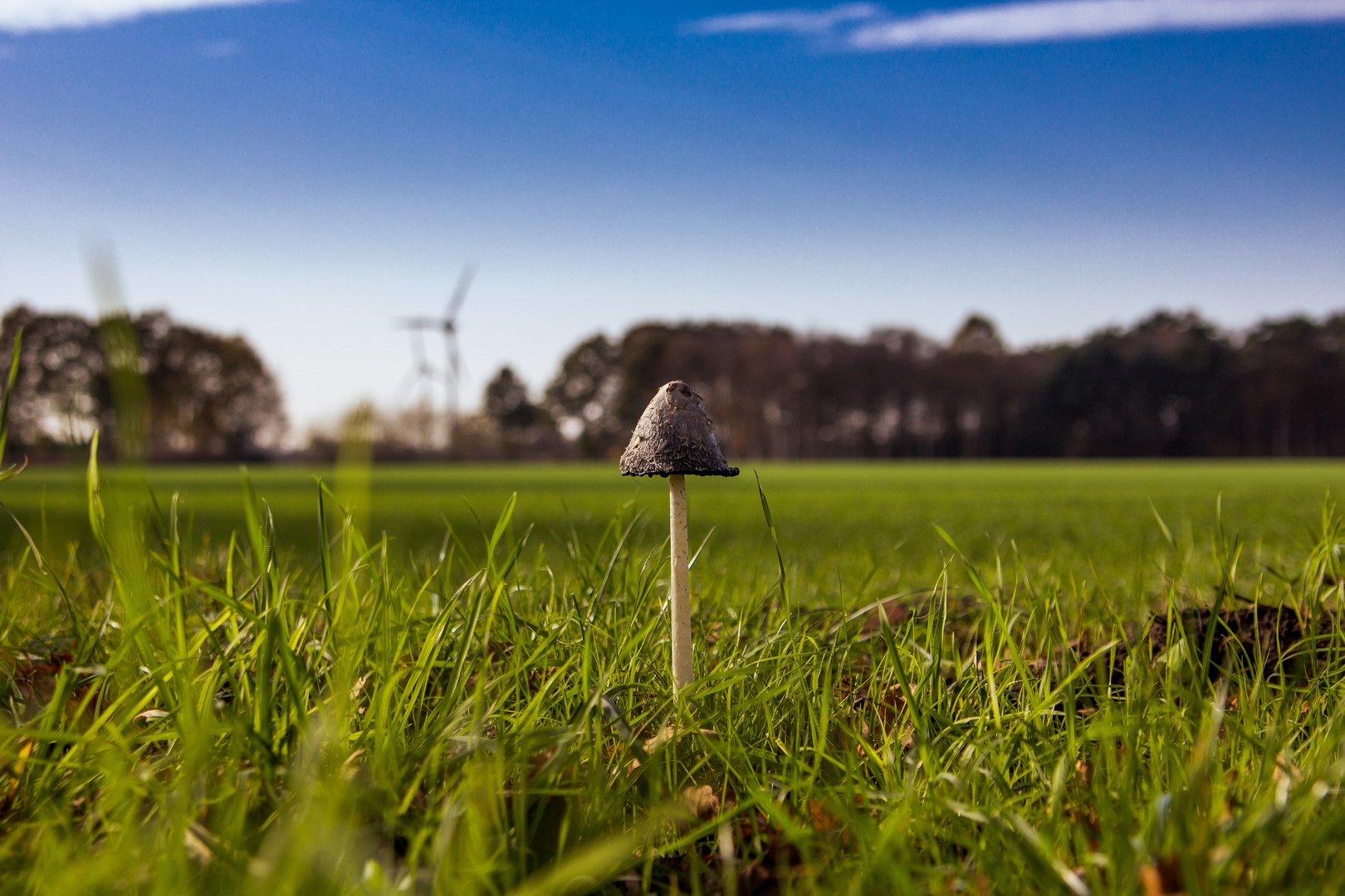Natur Und Technik Foto Bild Landschaft Natur Bilder Auf Fotocommunity