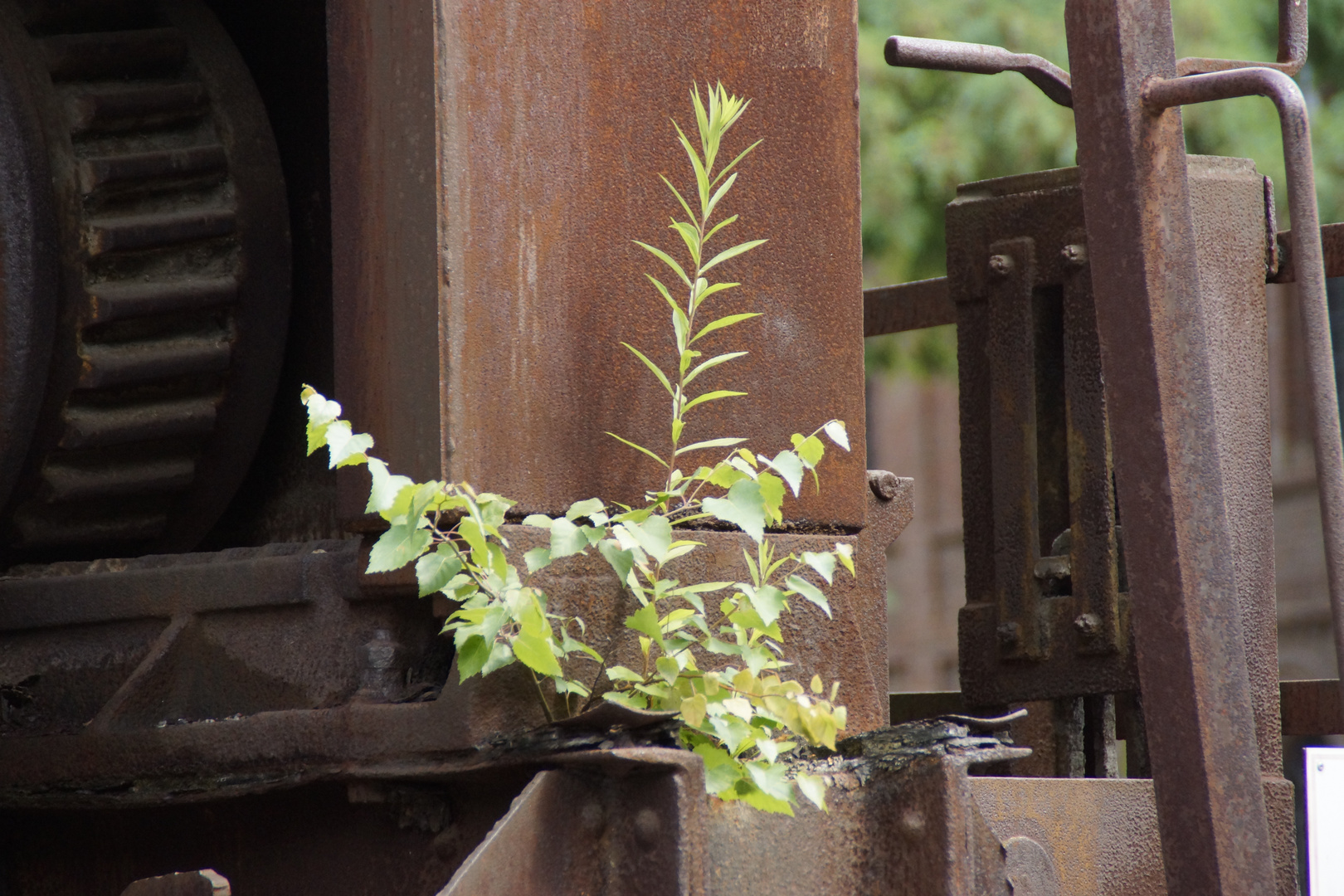 Natur und Technik