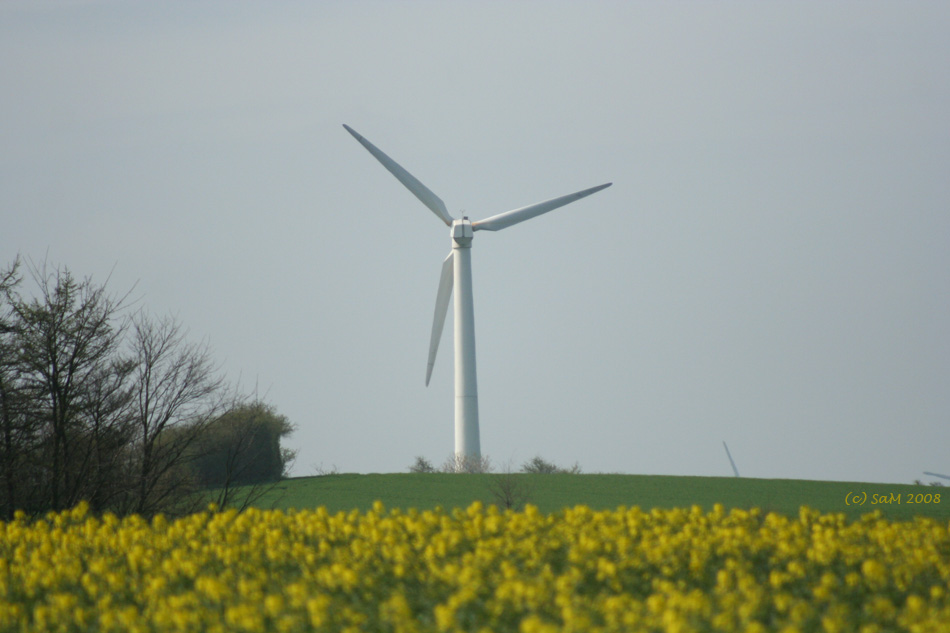 Natur und Technik