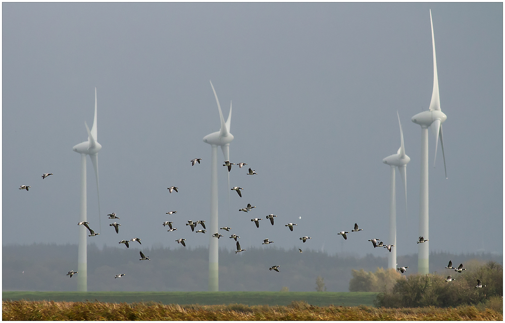 Natur und Technik