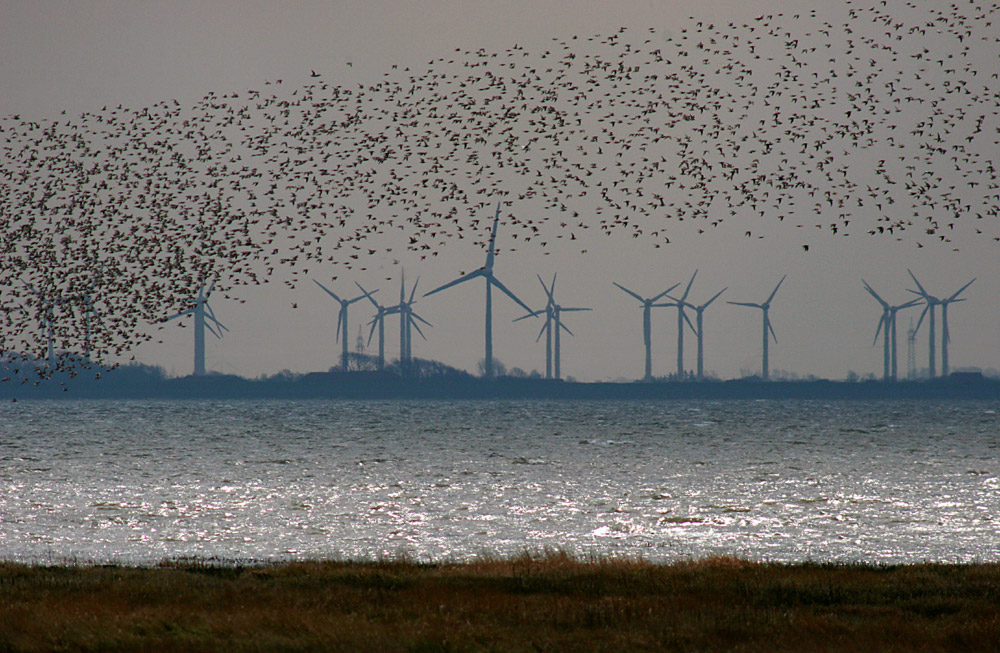 Natur und Technik