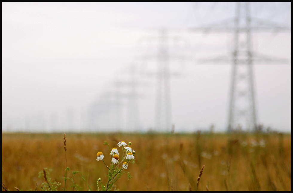 Natur und Technik