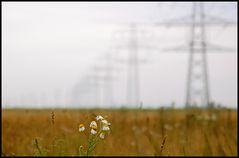 Natur und Technik