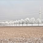 Natur und Technik