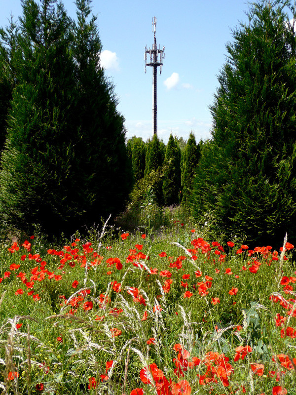 Natur und Technik