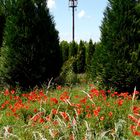 Natur und Technik