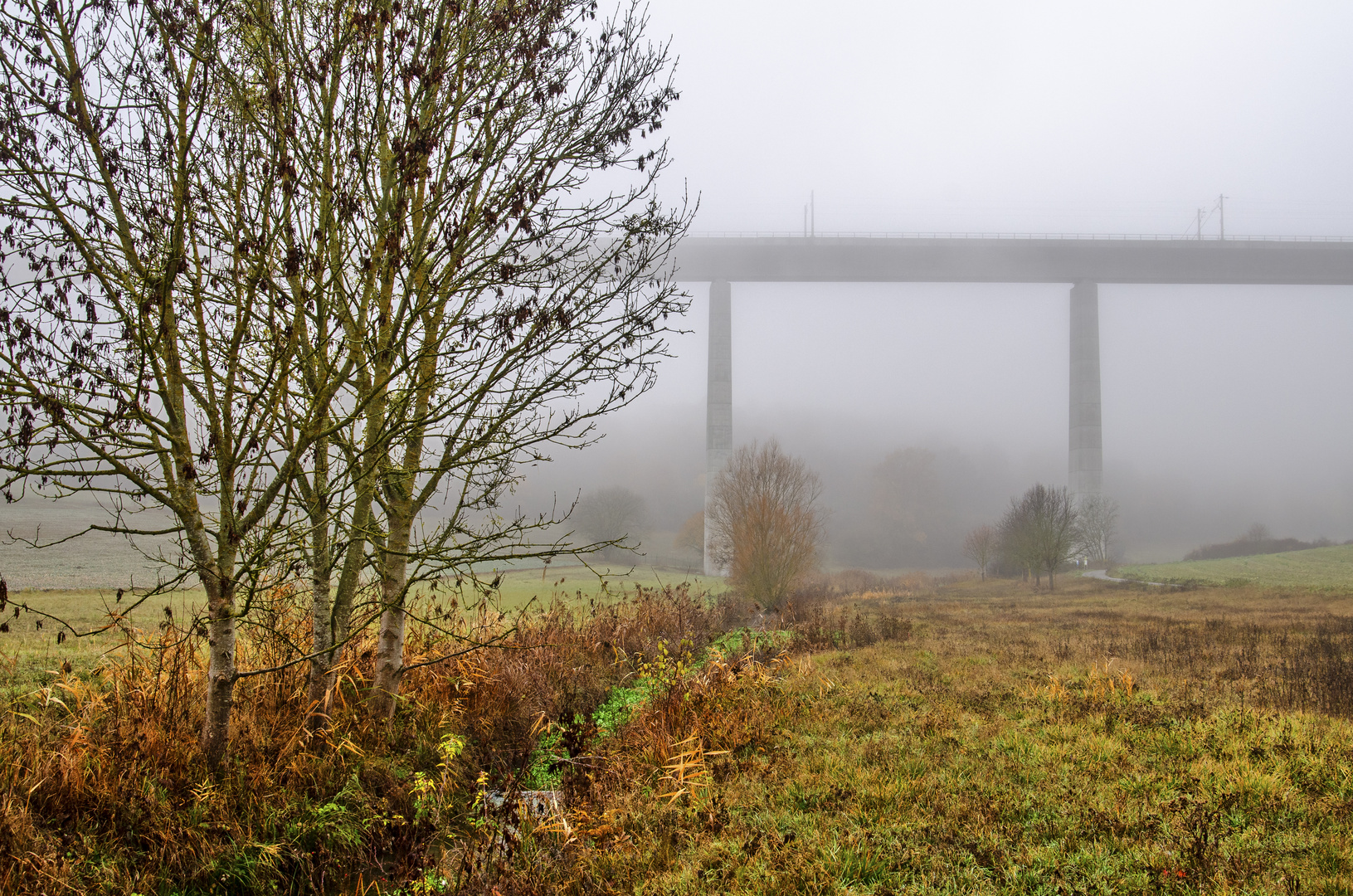 Natur und Technik