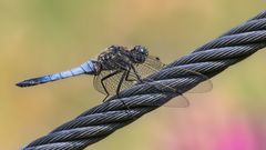 Natur und Technik