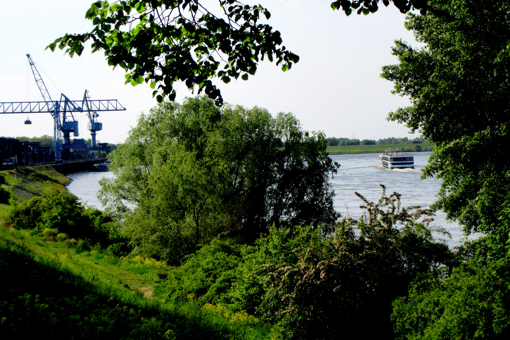 Natur und Technik am Rhein