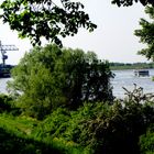 Natur und Technik am Rhein