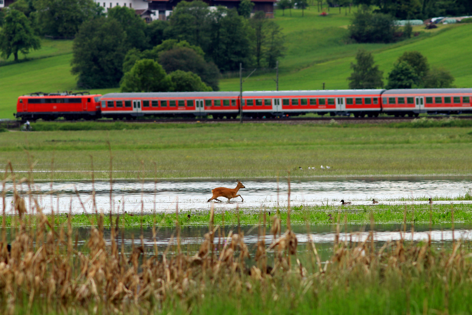 Natur und Technik