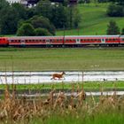 Natur und Technik