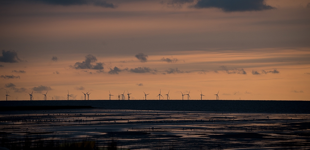 Natur und Technik begegnen sich