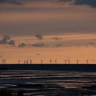 Natur und Technik begegnen sich