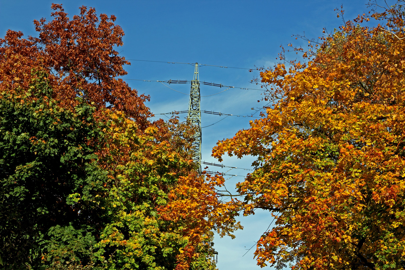 Natur und Technik