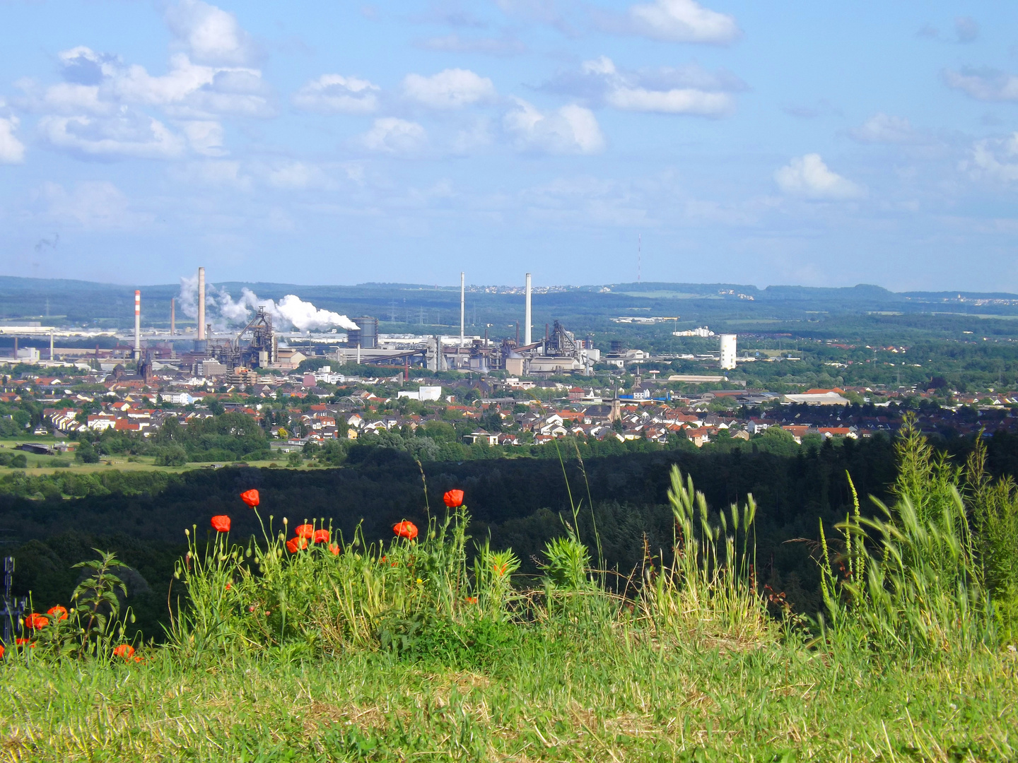 Natur und Technik