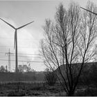 Natur und Technik - die Bremer Acelor-Hütte