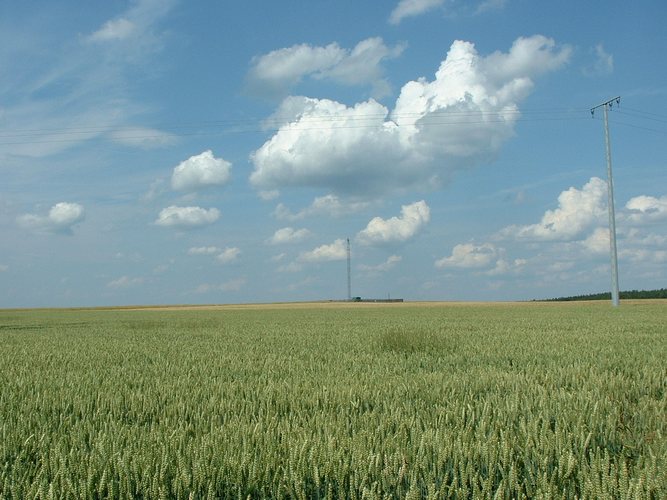 Natur und Technik