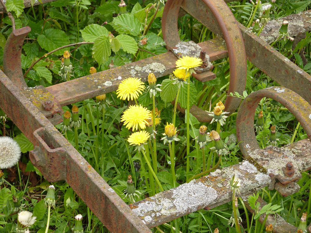 Natur und Technik