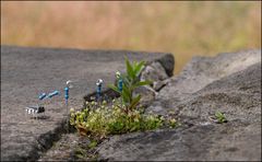 Natur und Technik