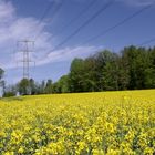 Natur und Technik? - Geht doch !