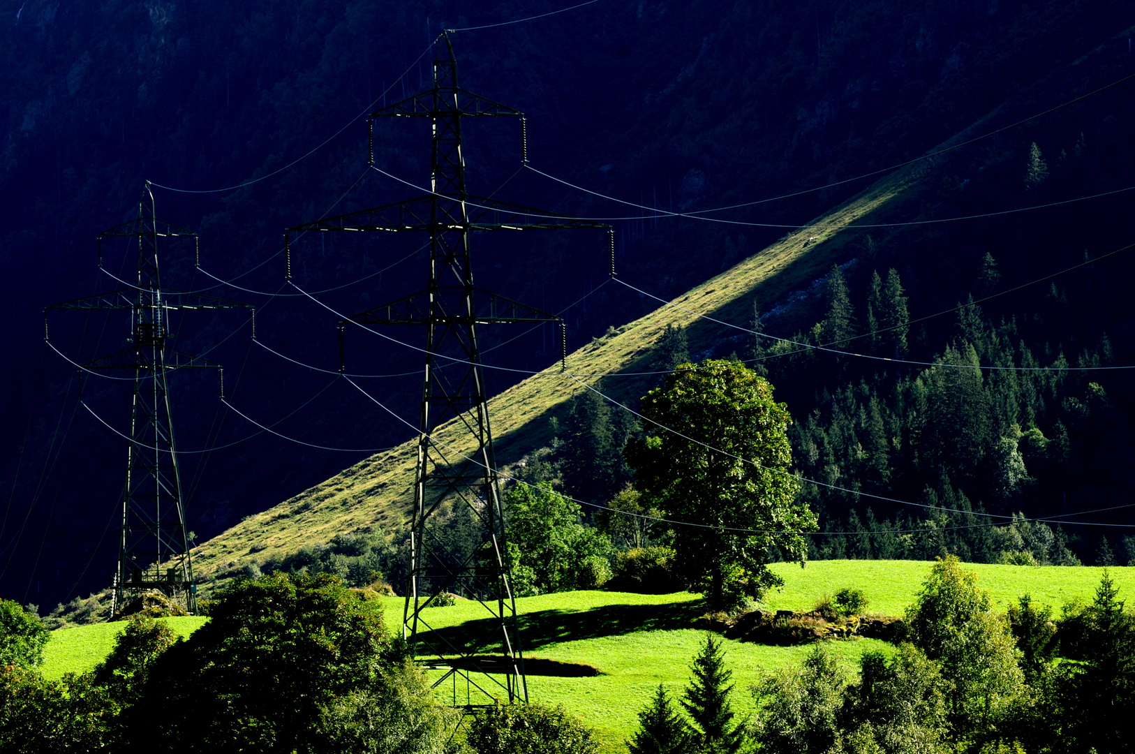 Natur und Technik im Abendlicht