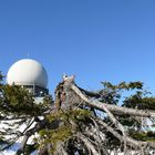 Natur und Technik im Einklang