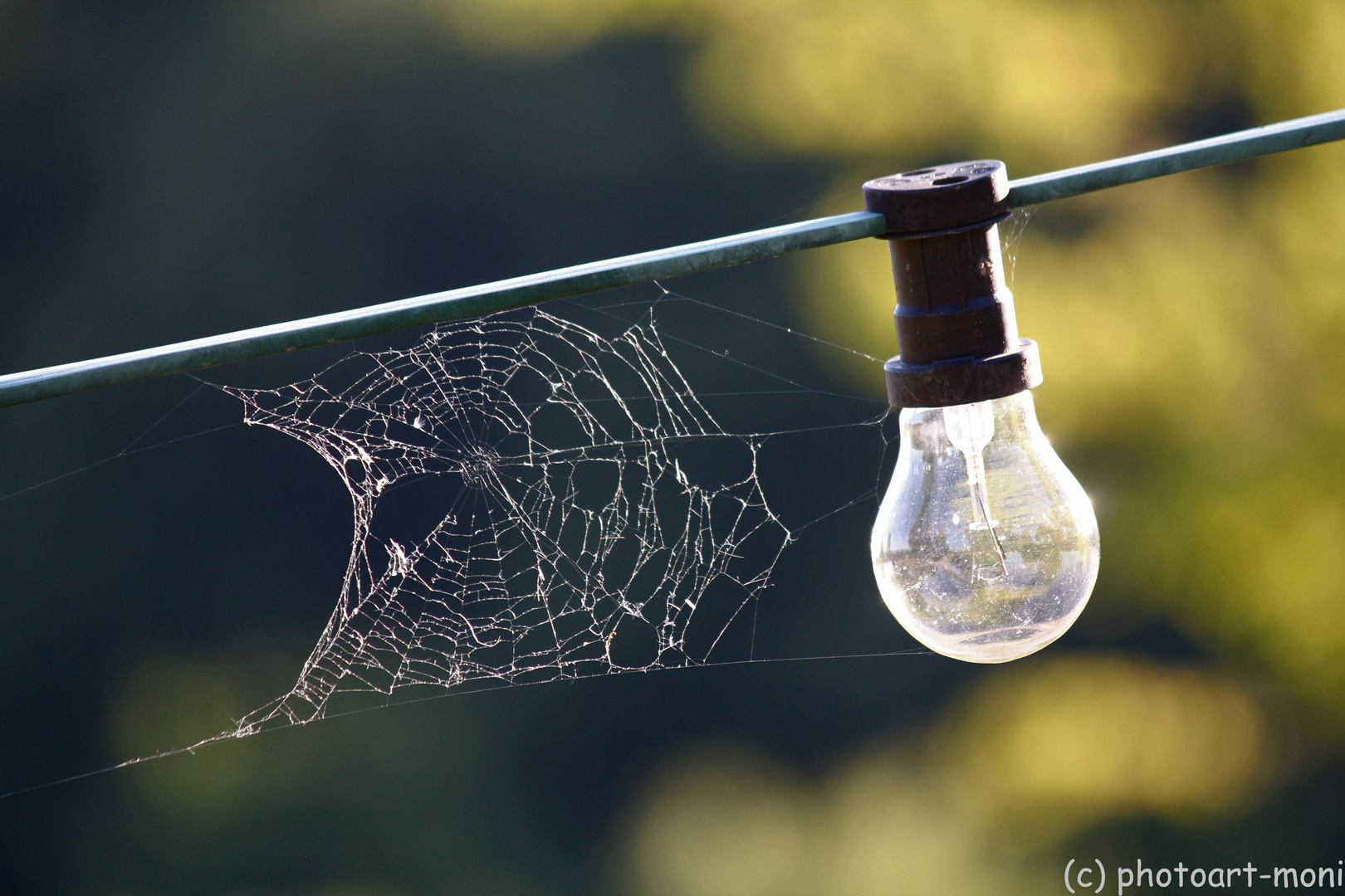 Natur und Technik im Einklang ;-)