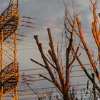 NATUR UND TECHNIK IM LICHTE DER UNTERGEHENDEN SONNE