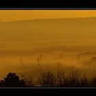 Natur und Technik im Morgennebel