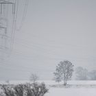 Natur und Technik im Schnee