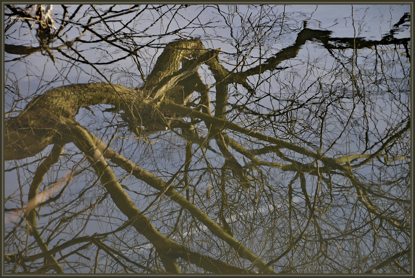 Natur und Technik im Spiegelbild des Flusses.