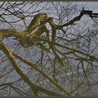 Natur und Technik im Spiegelbild des Flusses.