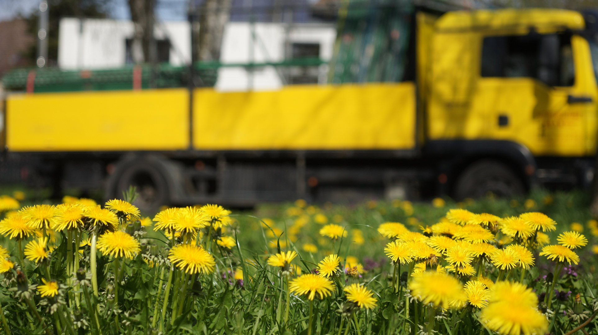 Natur und Technik in Gelb