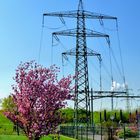 Natur und Technik in scheinbarer Harmonie