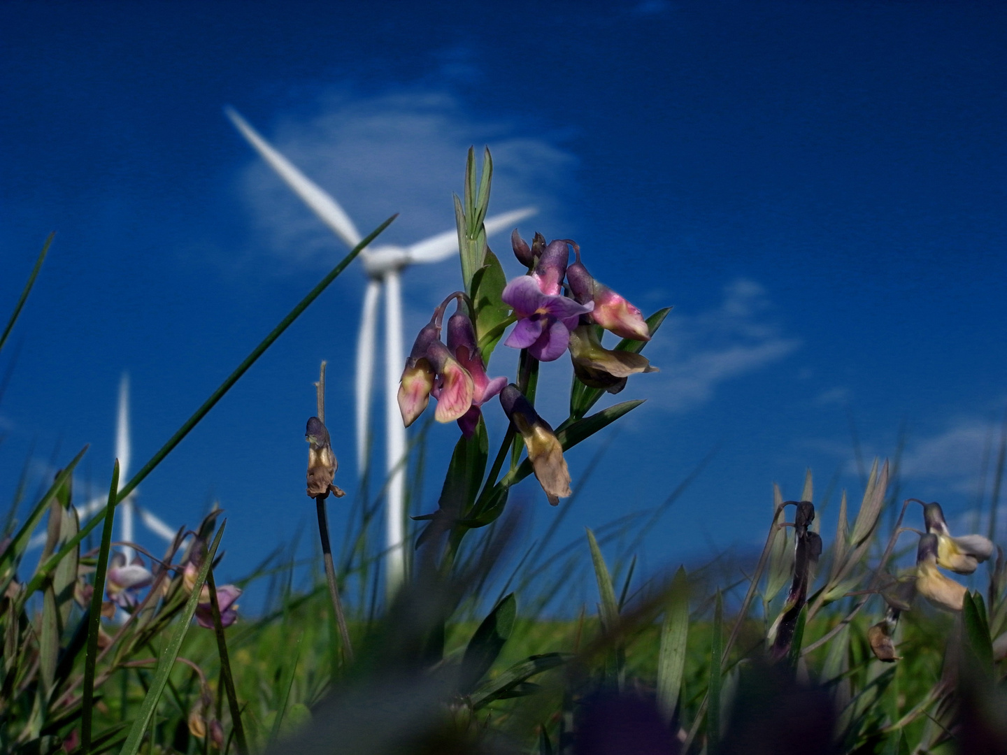 Natur und Technik (Versuch zur TS bzw. ST)