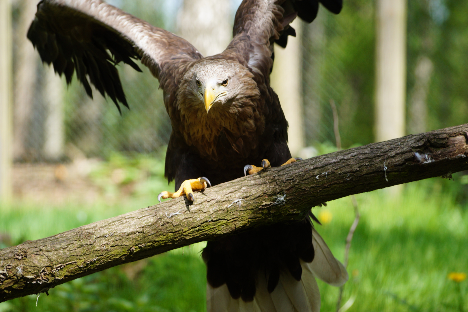 Natur und Umweltpark Güstrow